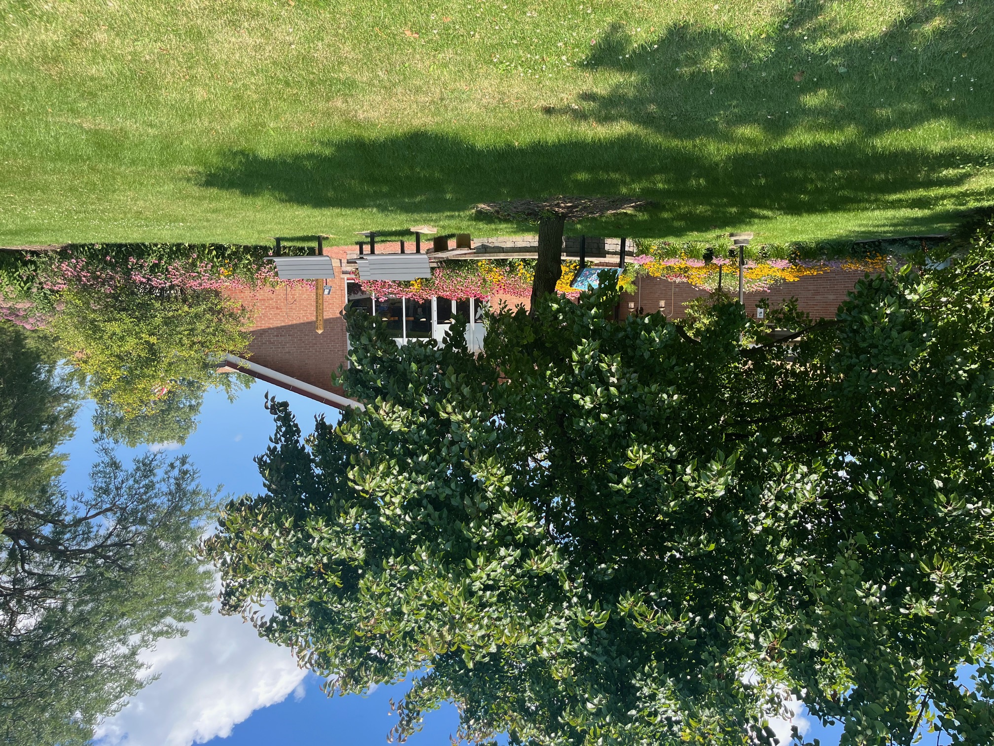 Garden At A Distance 2