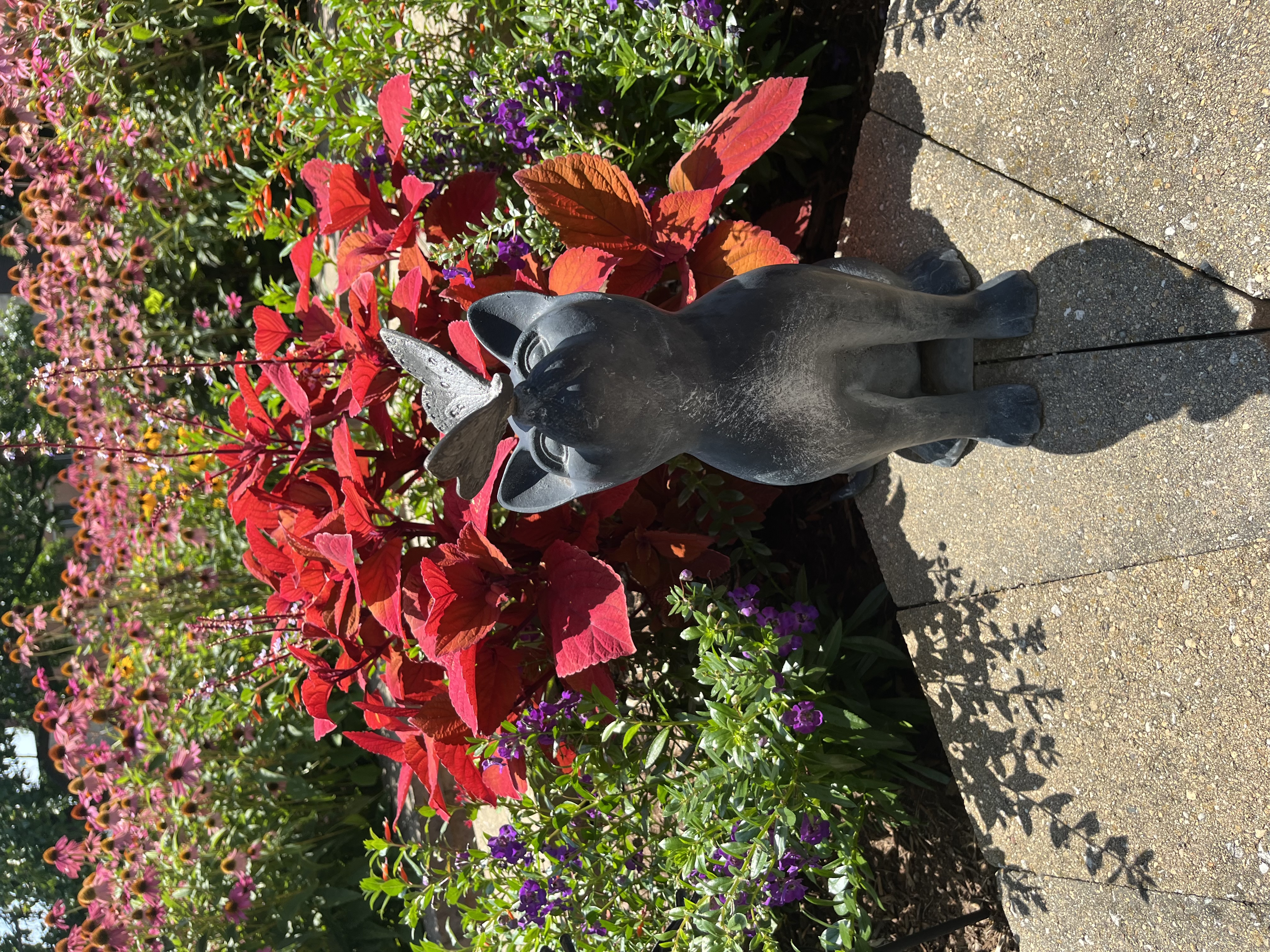 Cat Statue with a Red Coleus