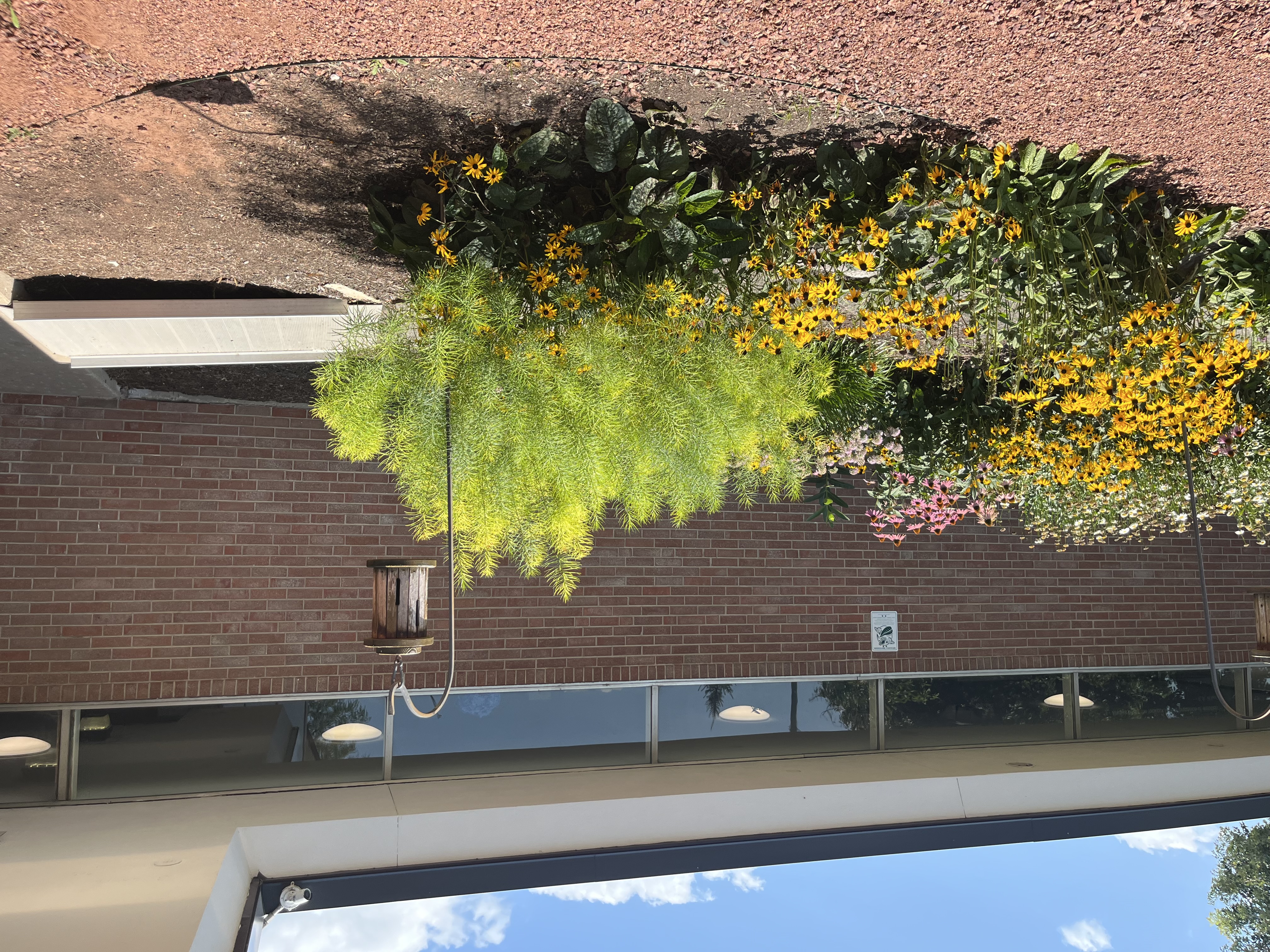 Vibrant Green Bush