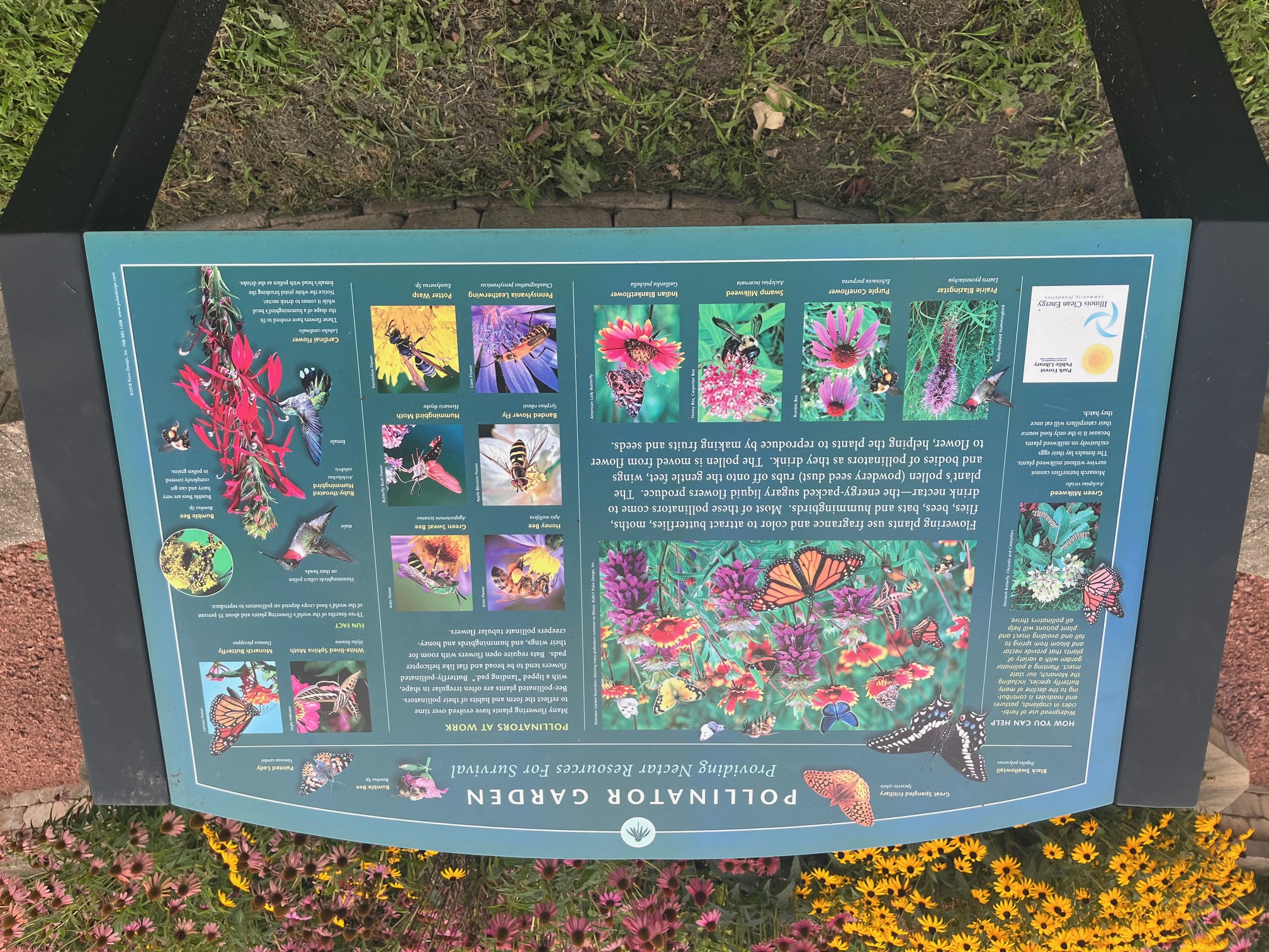 Pollinator Garden Description Sign