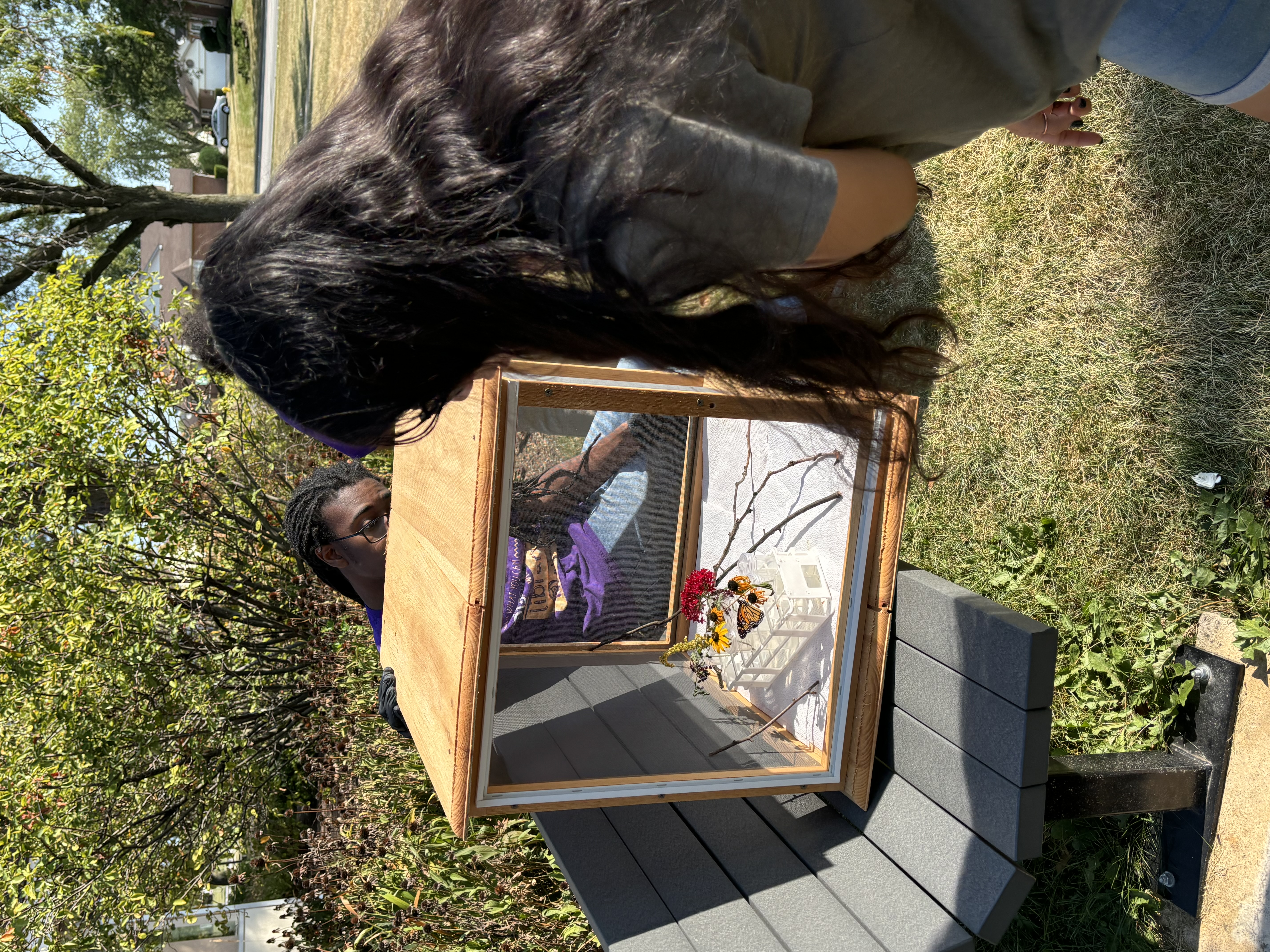Butterflies Emerge