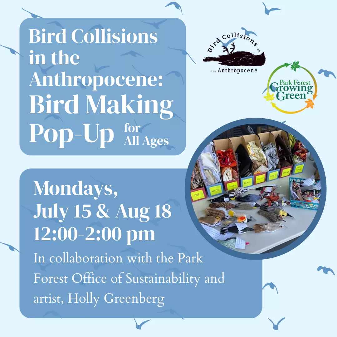 Bird Collisions in the Anthropocene Bird Making Pop-Up for all ages. Mondays, July 15 and August 18 from 12:00 to 2:00 pm. In collaboration with the Park Forest Office of Sustainability and artist, Holly Greenberg.