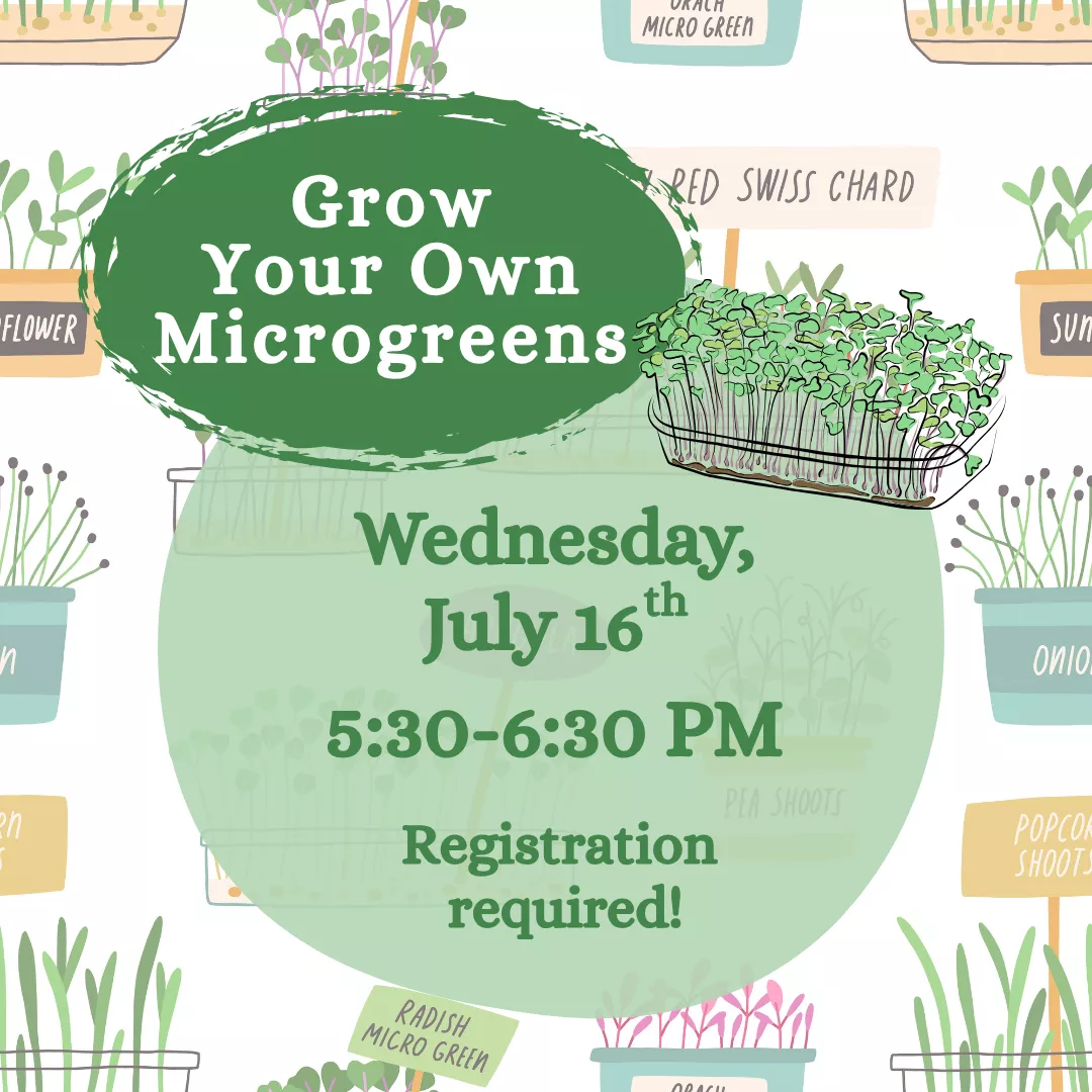 Grow Your Own Microgreens. Wednesday, July 16 from 5:30 to 6:30 pm. Registration required!