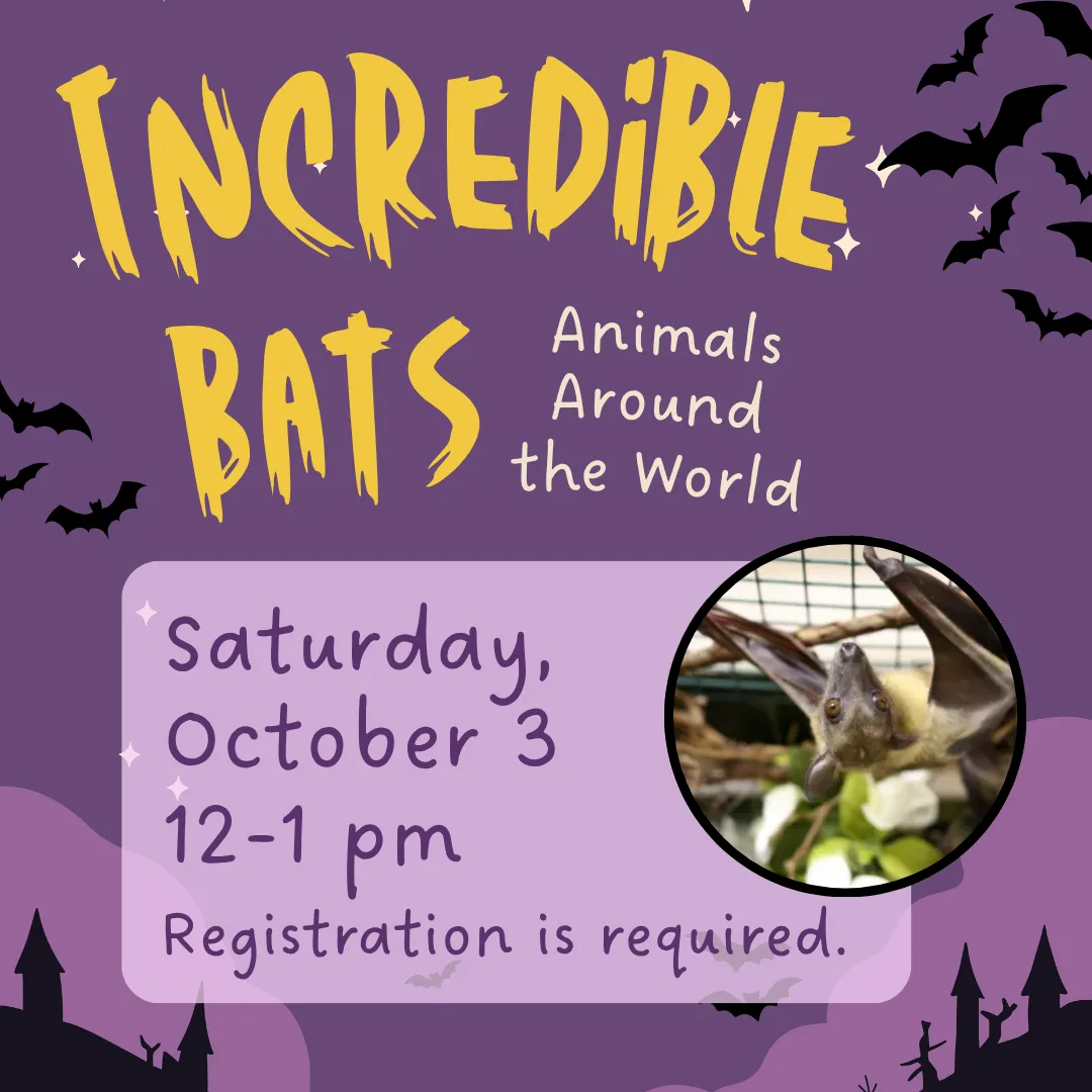 Incredible bats: animals around the world. Saturday, october third from twelve to one p.m. Registration is required.
