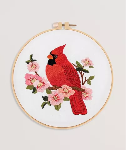 DIY Embroidery Kit for Older Adults &amp; Seniors