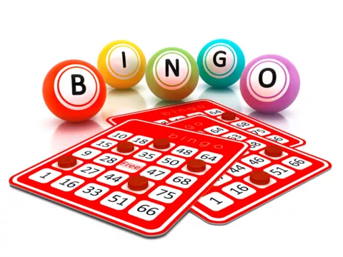 BINGO Day for Seniors