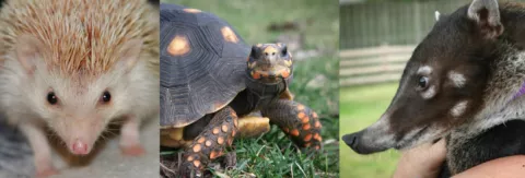 Summer Reading Kick-Off with Animal Quest