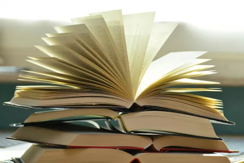 Local Author Fair
