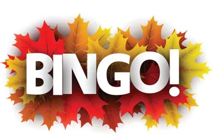 BINGO Time for Seniors!