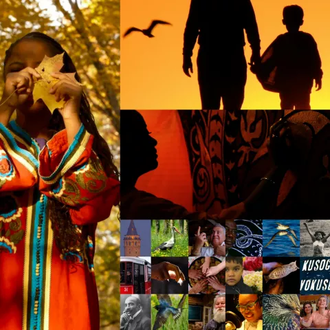 Art Documentary Film Screening &amp; Discussion: The Nest of Hyacinth