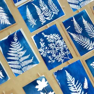 DIY: Cyanotype Prints for Adults