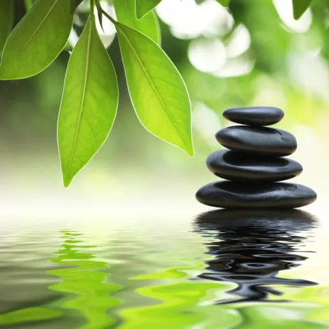 Meditation, Mindfulness, &amp; Breathwork with Roz